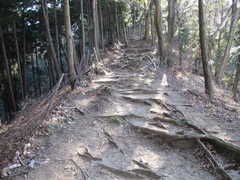 20170126hike (450)